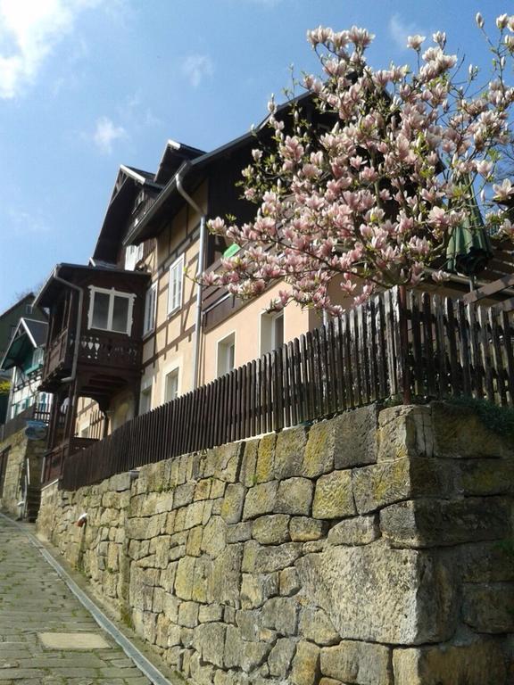 Wehlener Landhaus In Stadt Wehlen, Saechsische Schweiz Διαμέρισμα Εξωτερικό φωτογραφία